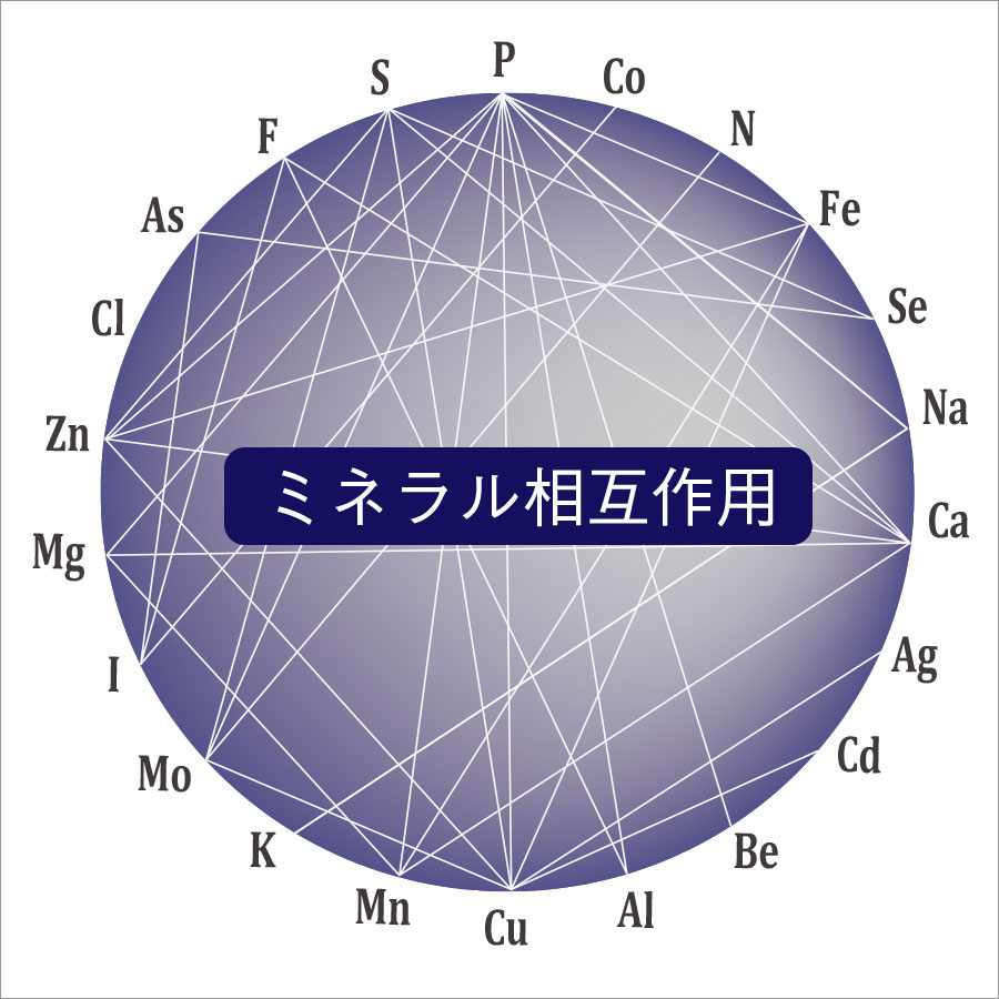 ミネラル相互作用の例