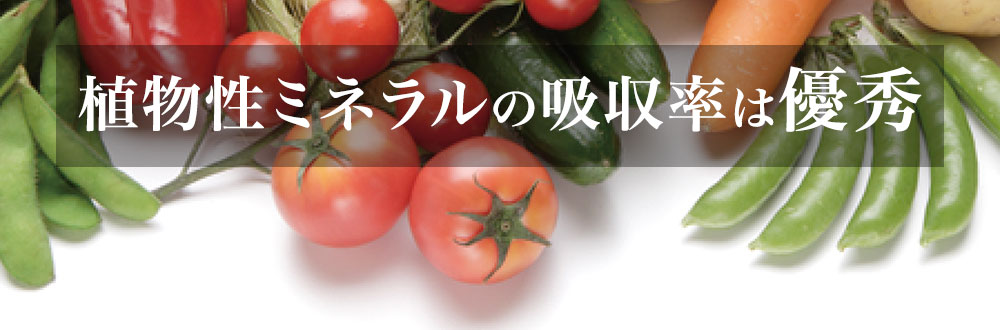 植物性ミネラルの吸収率は優秀