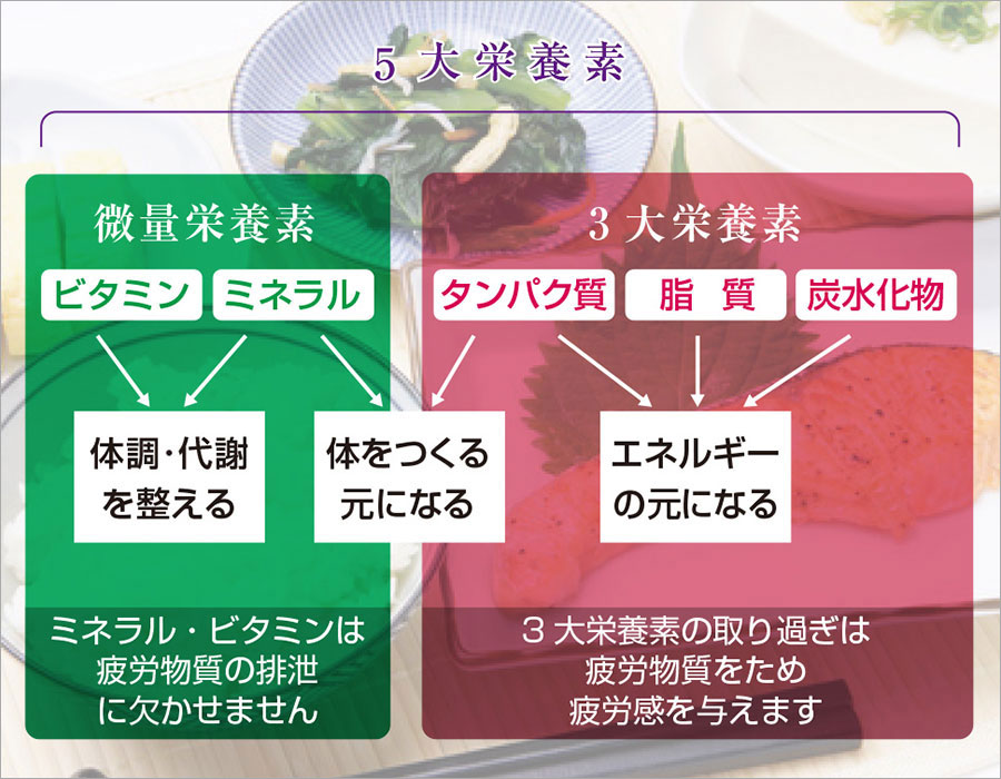 ５大栄養素