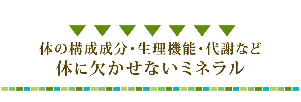 体に欠かせないミネラル