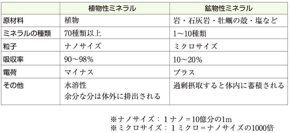 植物性ミネラルと鉱物性ミネラルの違い