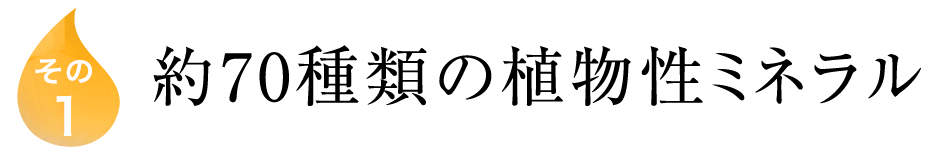 フルボ酸特徴1｜約70種類の植物性ミネラル