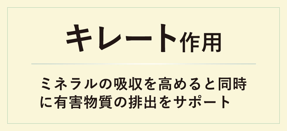 キレート作用｜ミネラル吸収と同時に有害物質の排泄をサポート