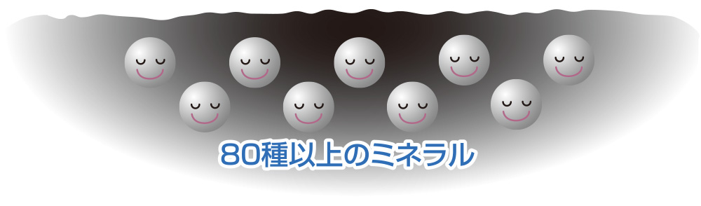 ヒューミックシェールできた過程1のイメージ画像