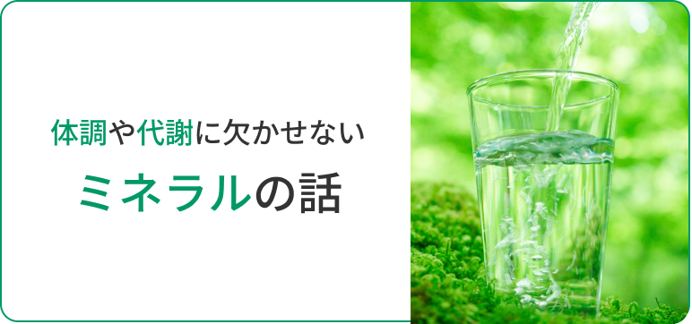 体調や代謝に欠かせない ミネラルの話